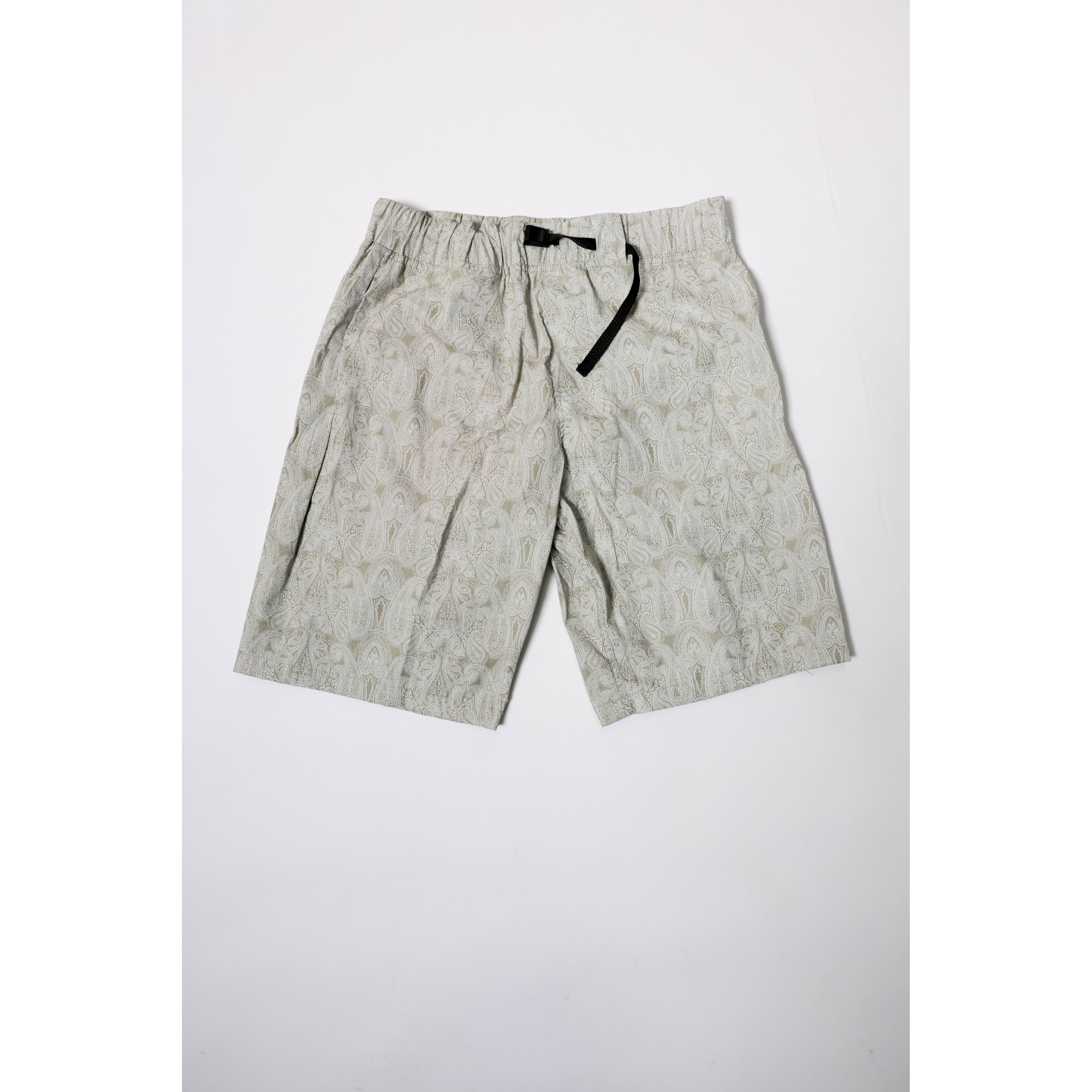 gx1000 polar supreme Stussy dickies krooked Carhart big boy empyre baggy skate pants jorts baggy shorts 34